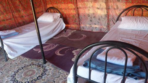 Alshmokh Camp