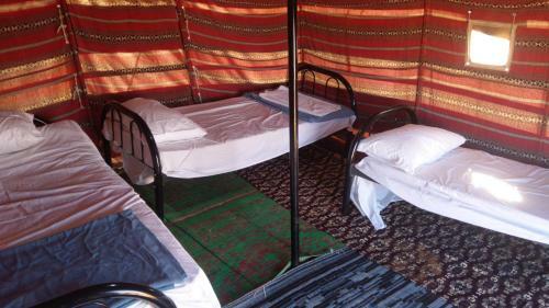 Alshmokh Camp