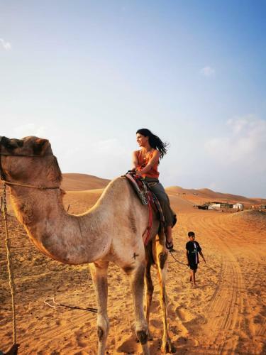Alshmokh Camp
