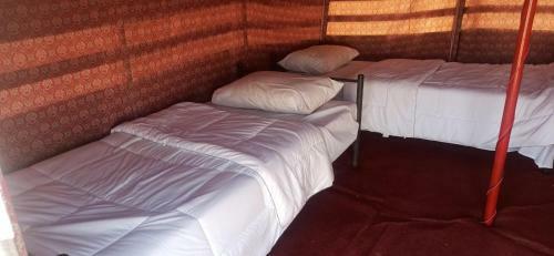 Alshmokh Camp