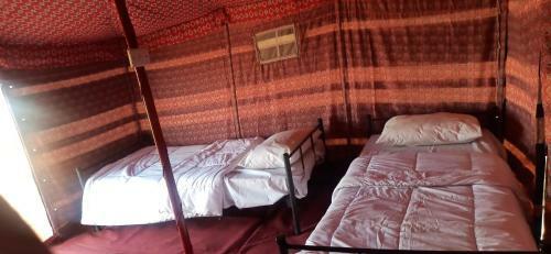 Alshmokh Camp