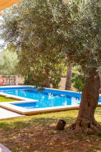 Villa Finca Cas Sollerich