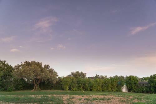 Agroturismo Can Gual