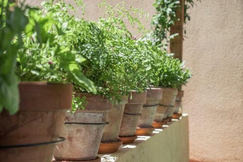 Apartamento El Rinconcito De La Azoh�a