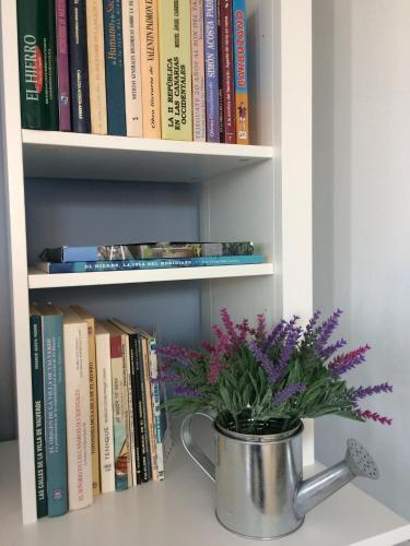 Apartamento Salitre