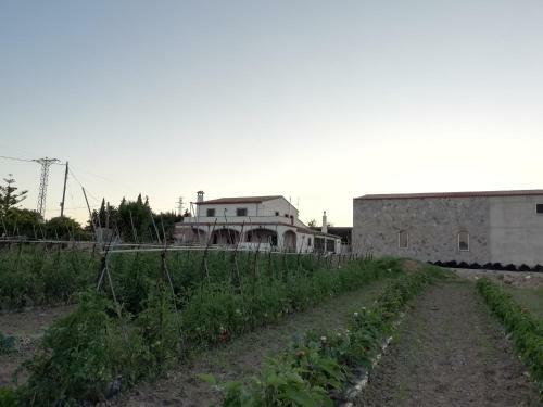 Casa Mas Del Vedell