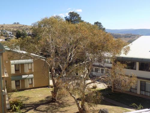 Kirwan Apartments 5