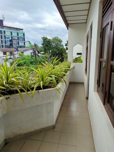 Bed & Breakfast 333 Hotel & Rooms