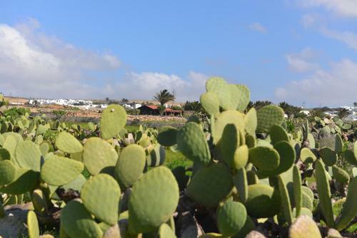 Villa Taguluche Famara