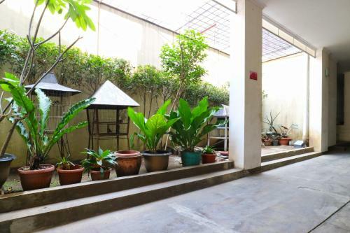 Hostal Saloka Guest House