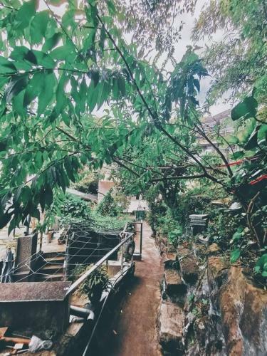 Apartamento Jiufen Back Yard Homestay