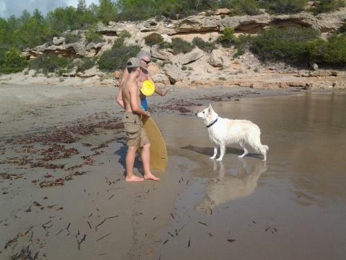 Meier's