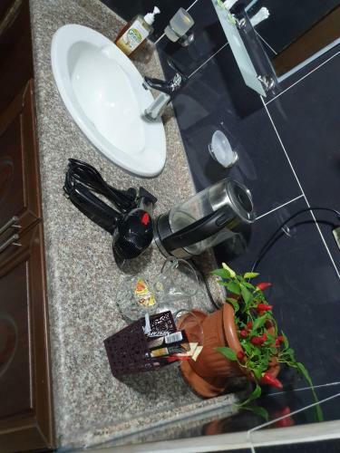 Apartamento Odibat Studioes