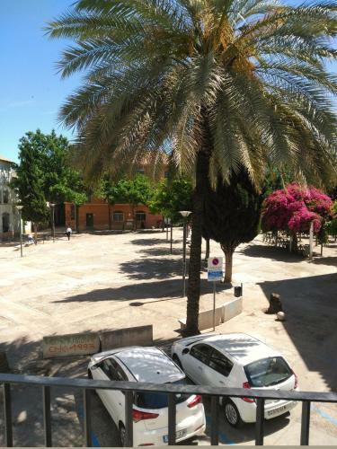 Apartamento Plaza Compa�ia Jerez
