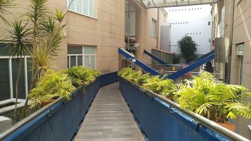 Apartamento Sherryflat Los Cisnes