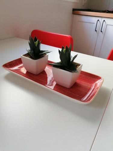 Apartamento Palo Cortao