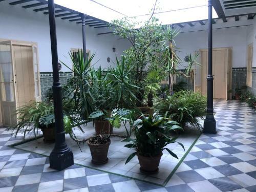 Apartamento Twins' Home Chanciller�a, Jerez Centro, Wifi