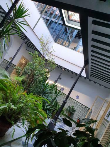 Apartamento Twins' Home Chanciller�a, Jerez Centro, Wifi