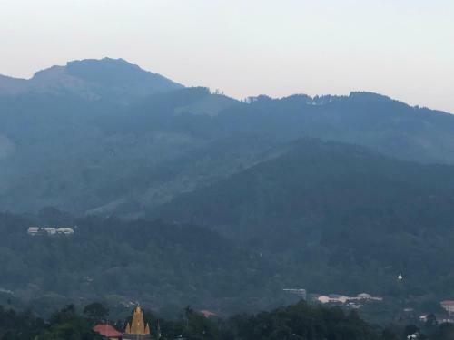 Tiverton Homestay