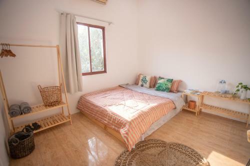 ?n Homestay M?i N�