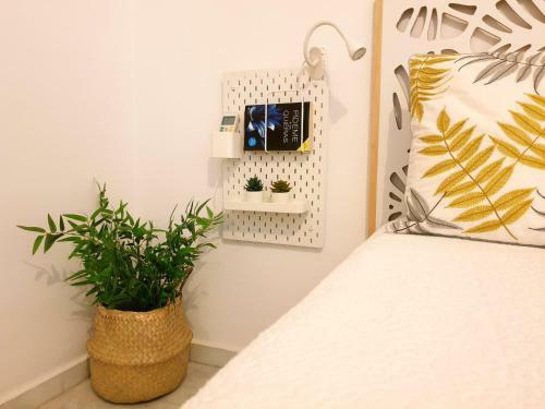 Apartamento Sherryflat Estudio- Parking,