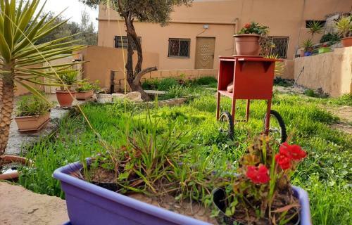Apartamento Roman Pool (madaba)