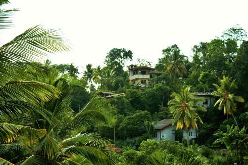 Bed & Breakfast Sky White Villa