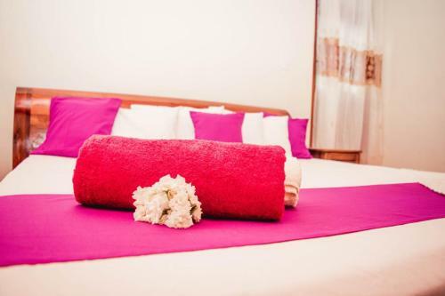4ty Two Homestay Galle