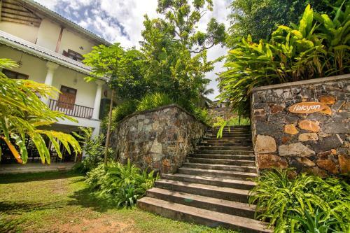 Hotel The Halcyon Galle