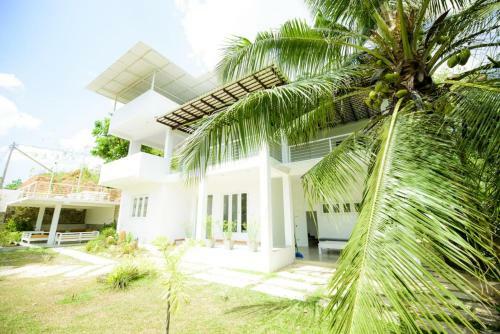 Villa Green Bamboo