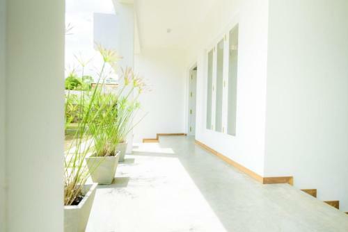 Villa Green Bamboo