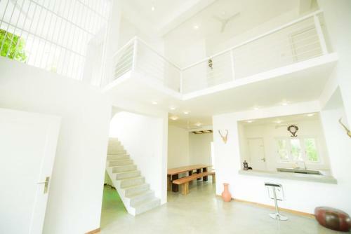 Villa Green Bamboo