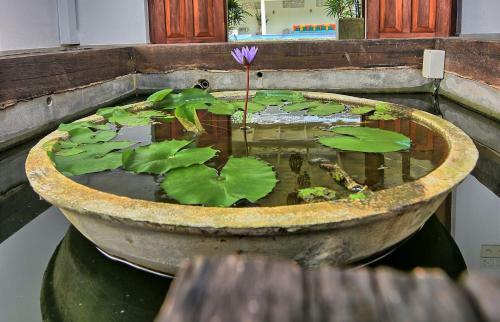 Hostal Ali Gedara Bungalow