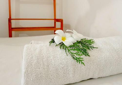 Hikkaduwa Backyard Beach Homestay