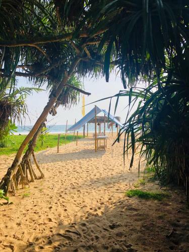 Hikkaduwa Backyard Beach Homestay