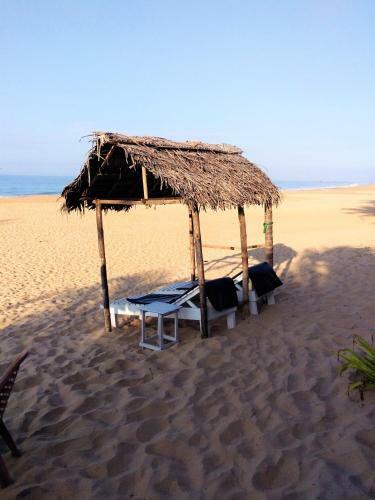 Hikkaduwa Backyard Beach Homestay