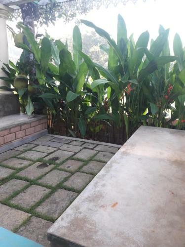 Villa Eco House