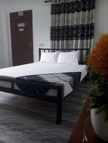 Hostal Nexus Villa