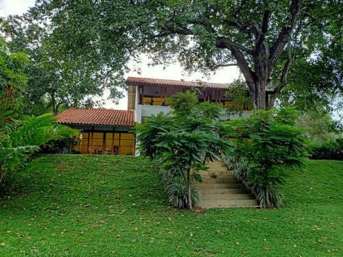 Bed & Breakfast Baheda House