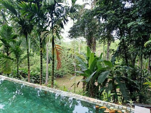 Bed & Breakfast Baheda House