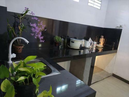 Apartamento Mango House