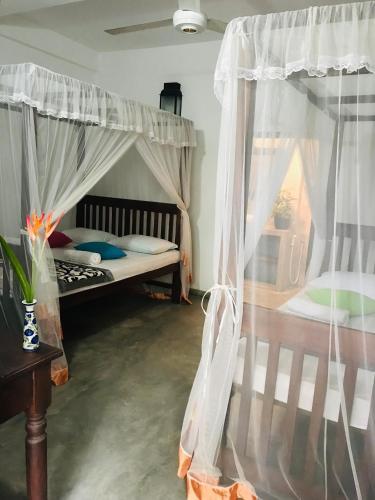Bed & Breakfast Waterlily 508