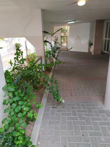 Apartamento Nelly's Housing Unit