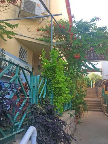 Eilat Art House