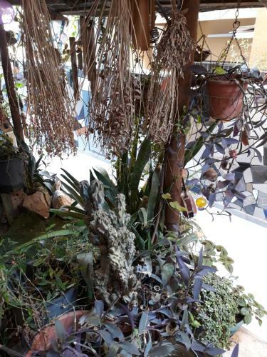 Apartamento Hanna's Place - Great Location