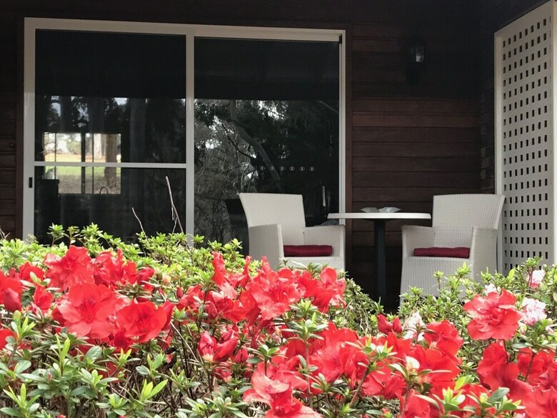 Hotel Forest Lodge Resort