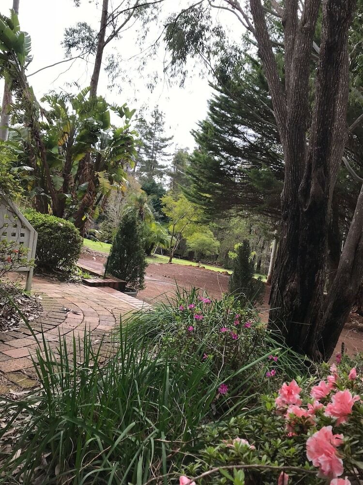 Hotel Forest Lodge Resort