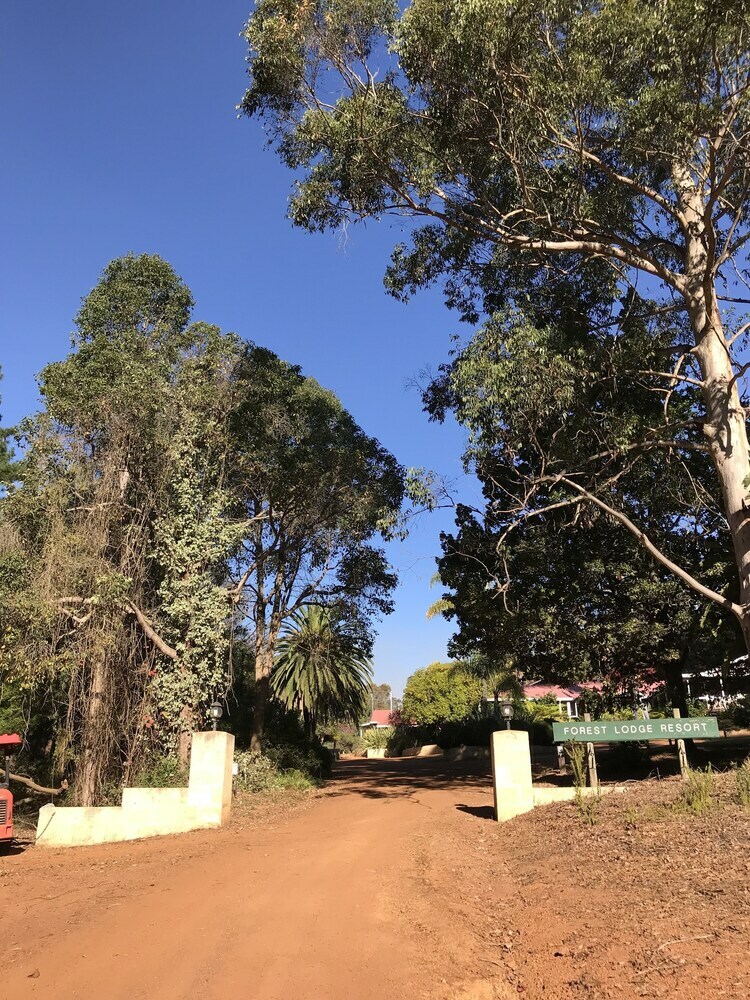 Hotel Forest Lodge Resort