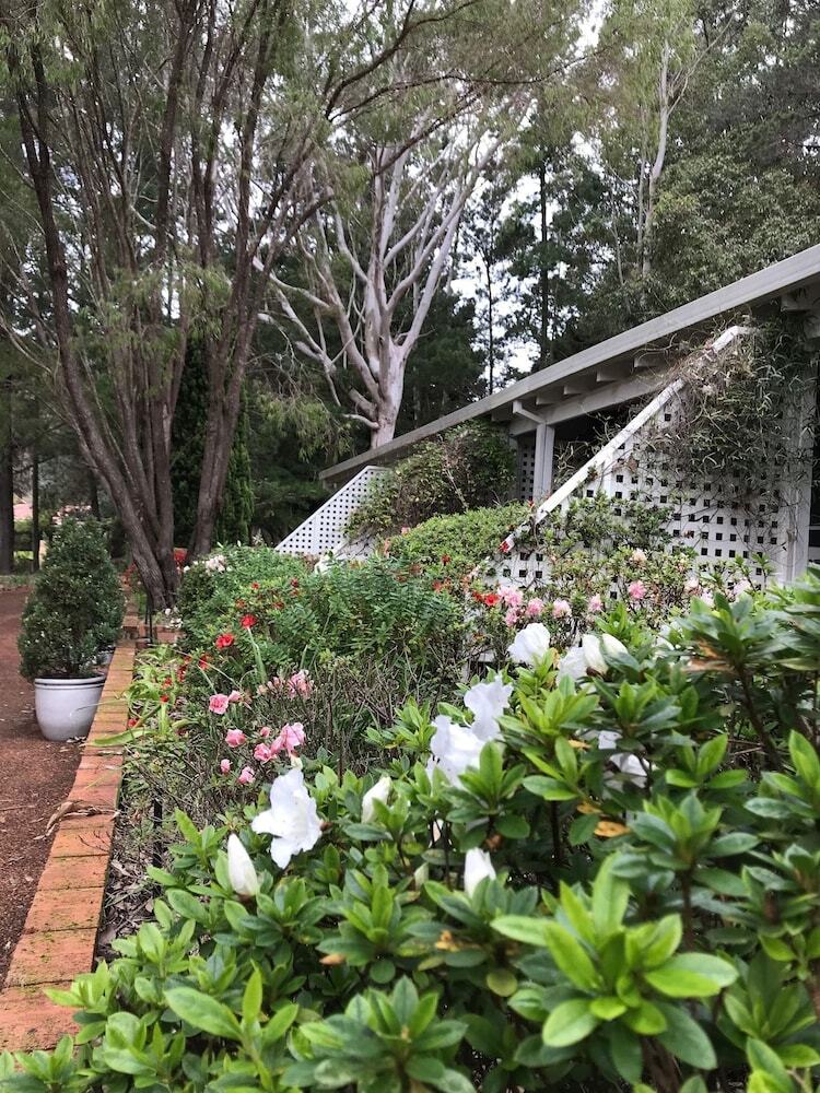 Hotel Forest Lodge Resort