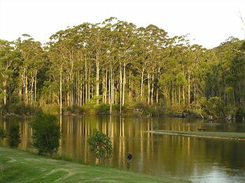 Hotel Forest Lodge Resort